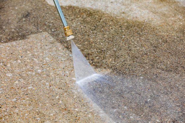 Best Roof Washing  in Mayville, MI