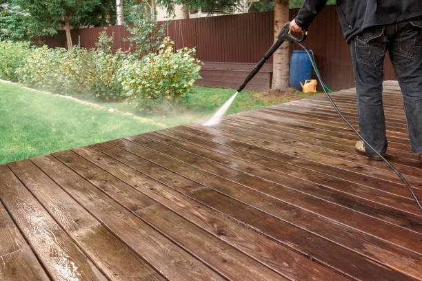 Best Fence Cleaning  in Mayville, MI