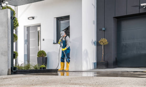 Best Sign and Awning Cleaning  in Mayville, MI
